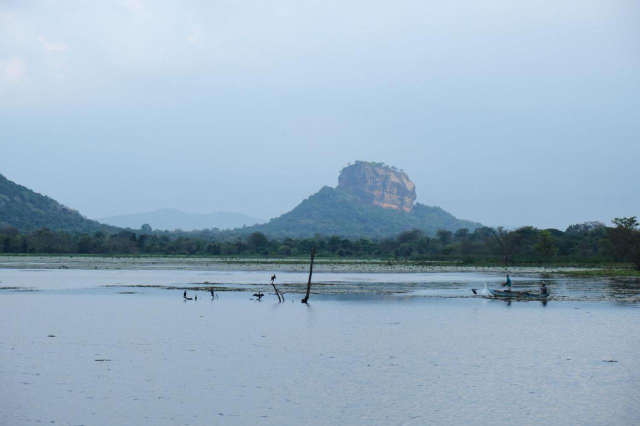 अपार्टमेंट Ruk Sewana Tree House Sigiriya