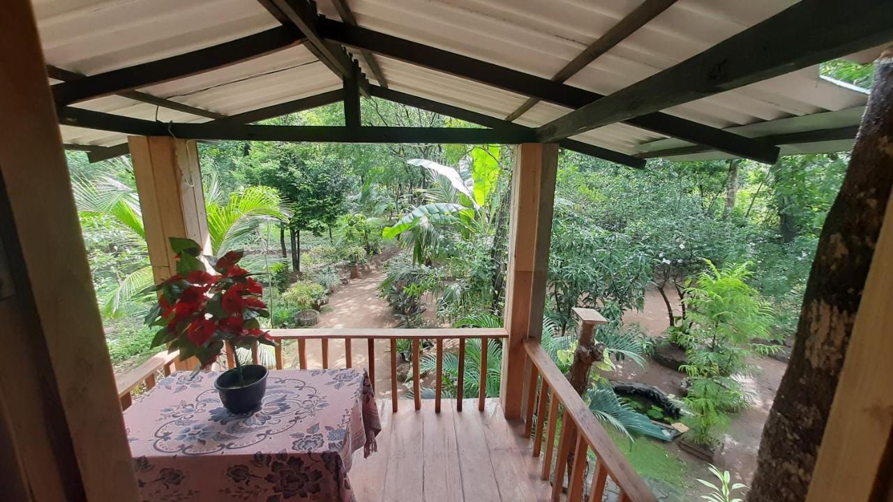 अपार्टमेंट Ruk Sewana Tree House Sigiriya