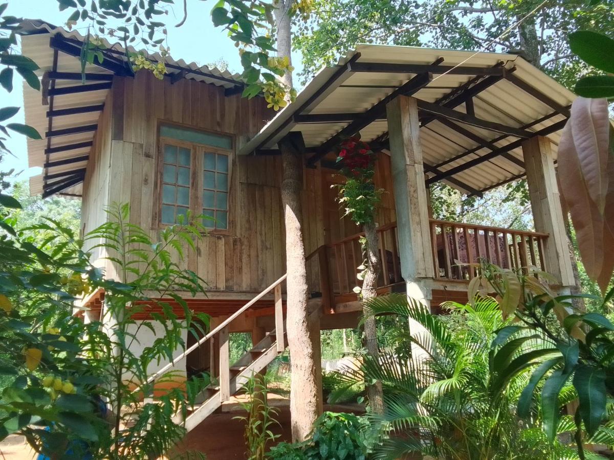 Ruk Sewana Tree House अपार्टमेंट